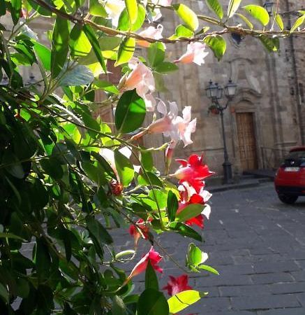 Nenet Acomodação com café da manhã Guglionesi Exterior foto